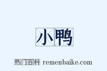 小鸭是什么意思的图片